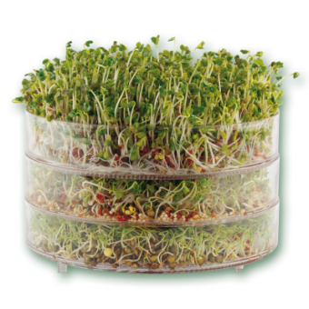 34284 13 biosnacky classic sprouter 3tiers with sprouts