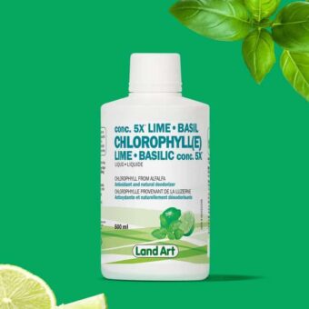 basilic lime chlorophyll 5x 640x 1
