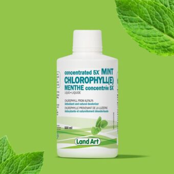 chlorophyll 5x menthe 640x 1