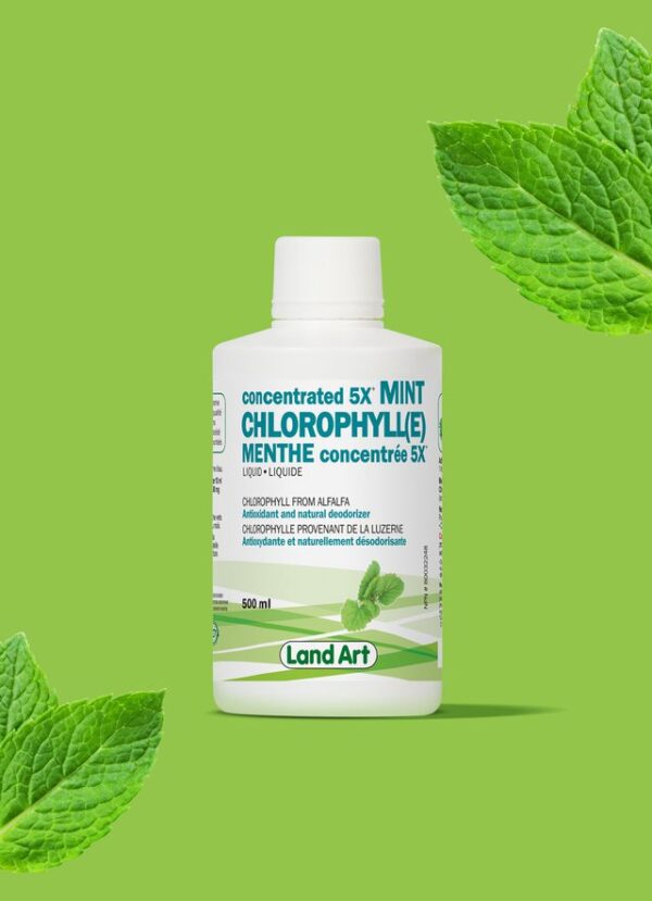 chlorophyll 5x menthe 640x 1